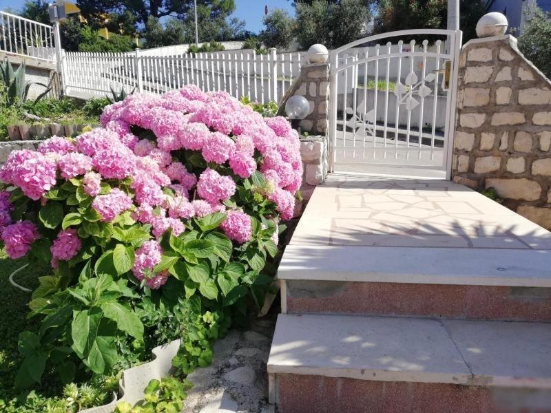Apartment Cactus Округ-Доньи Экстерьер фото